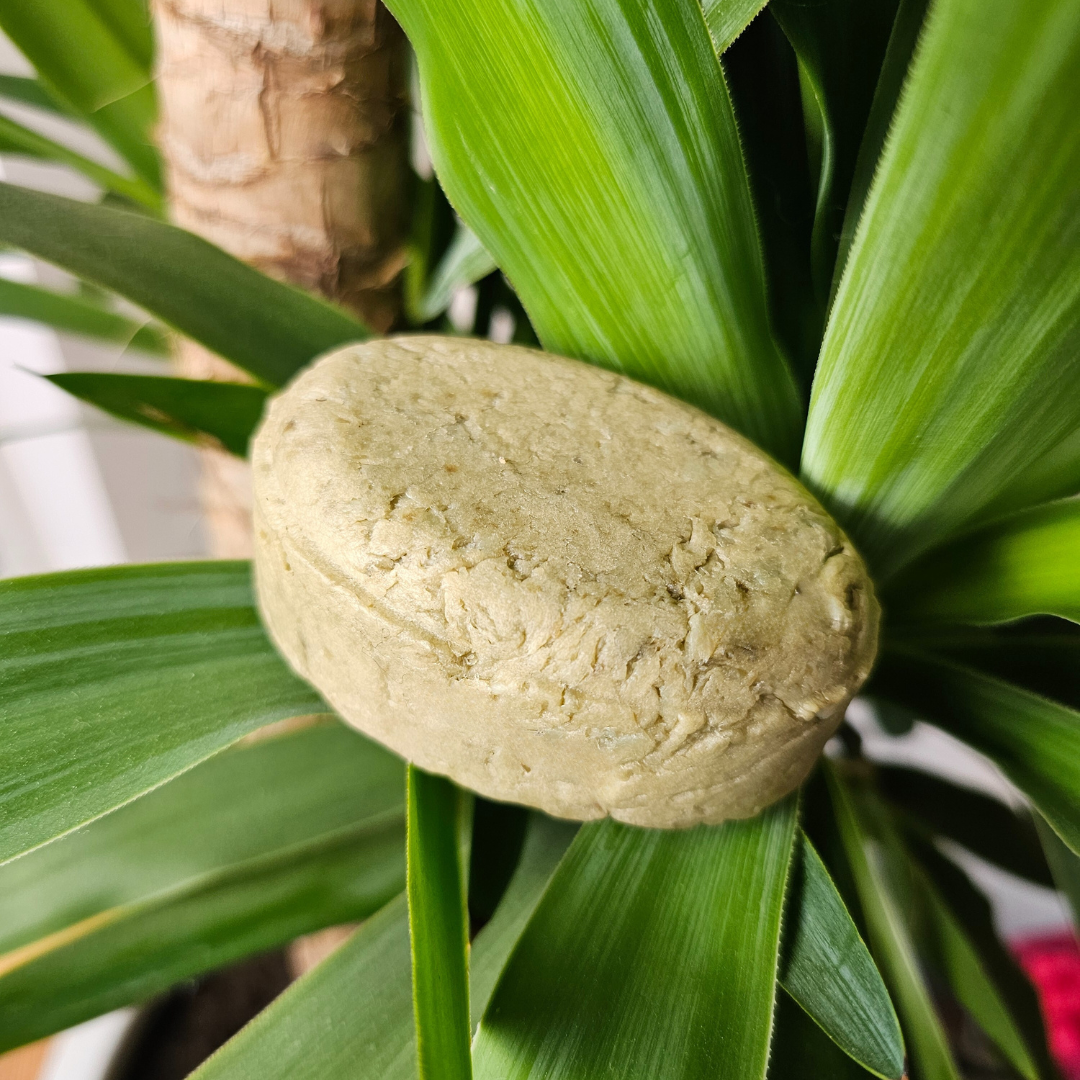 Soothing Meadow Shampoo Bar – Clementinesuds