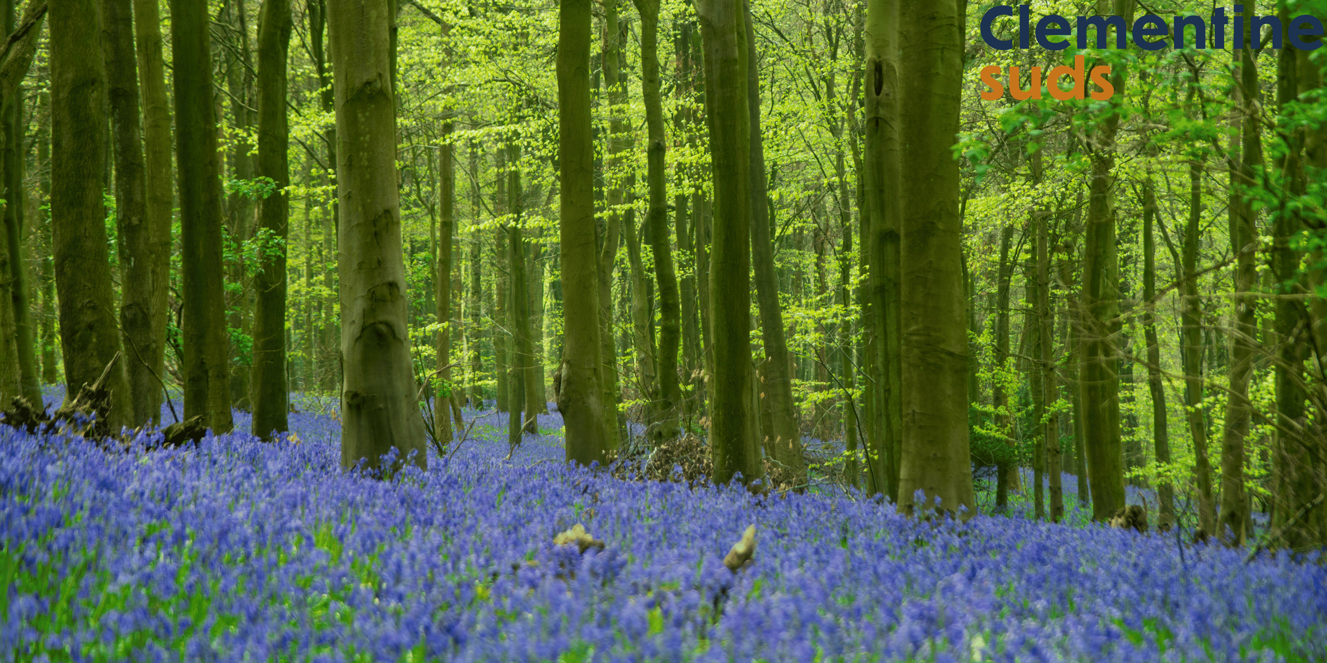 Do You Really Need a Seasonal Skincare Overhaul?